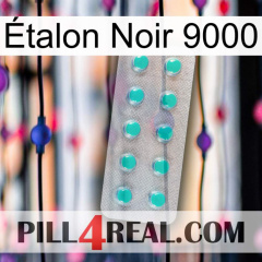 Étalon Noir 9000 28